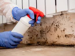 Best Real Estate Mold Inspection  in USA